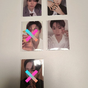 보플2 장지아하오 포카 6,8,9번 전시회 아카이브