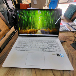 LG gram (15zd970) i5. 7세대