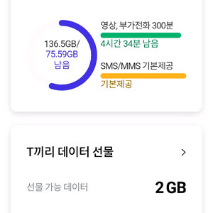 skt데이터 2기가 3000