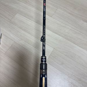 에버그린 슈퍼스티드 GTR C66LLR