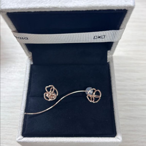 디디에두보 귀걸이