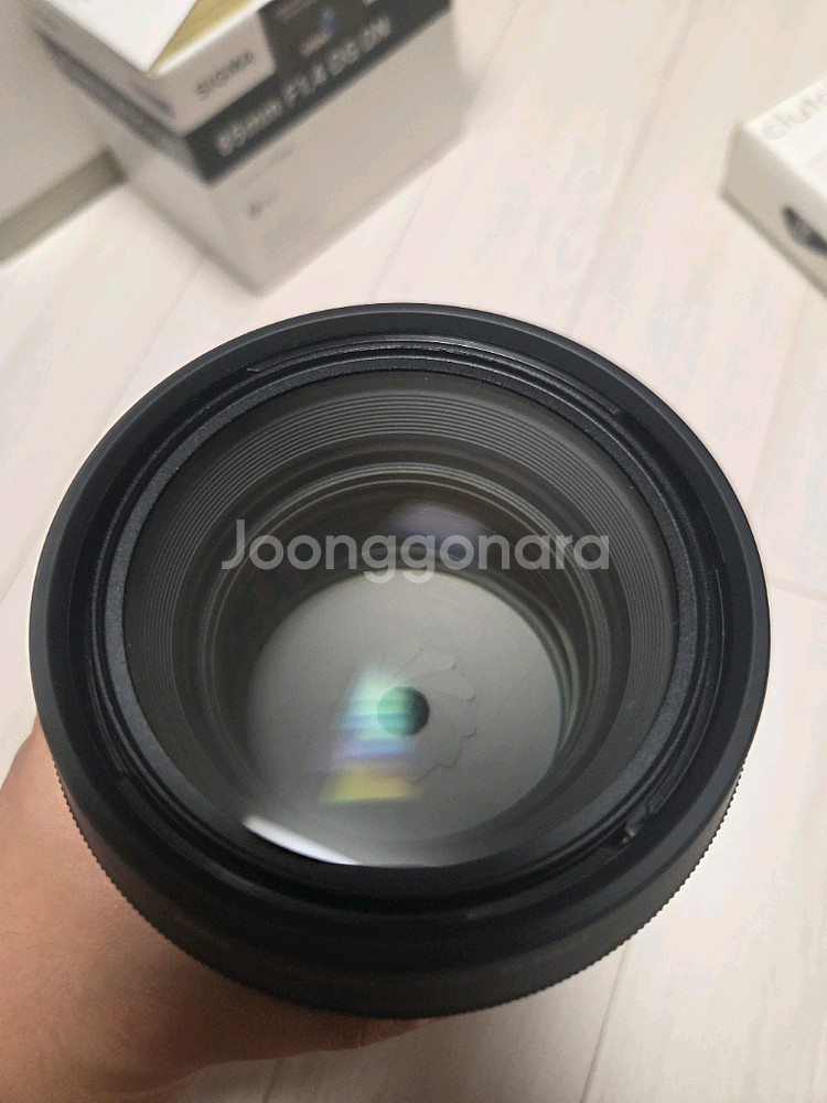 시그마 A 85mm F1.4 DG DN (소니E마운트)--5