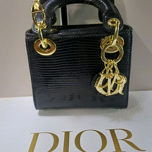 마이크로 레이디 디올 미니백 리자드 블랙