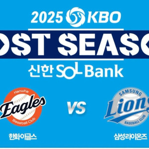 플레이오프 3차전) 3루 내야, 스카이, 블루존
