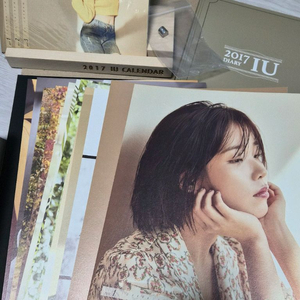 아이유 2017 시즌그리팅 판매