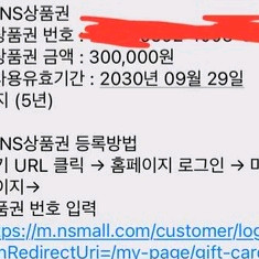 ns상품권 30만원권(24만원 판매)
