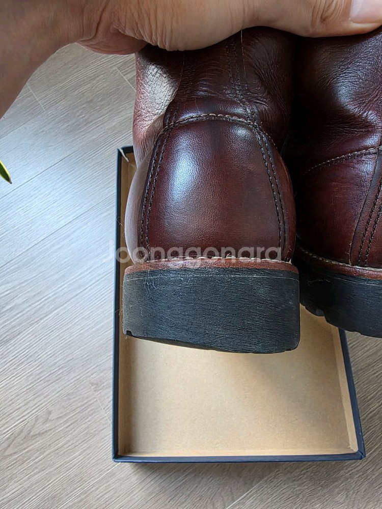 레드윙 8146 워커 280mm--6