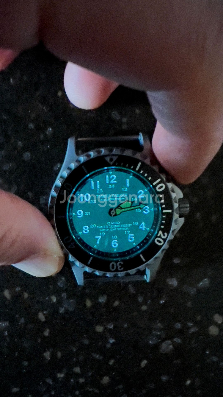 카시오 랜드크루져--3