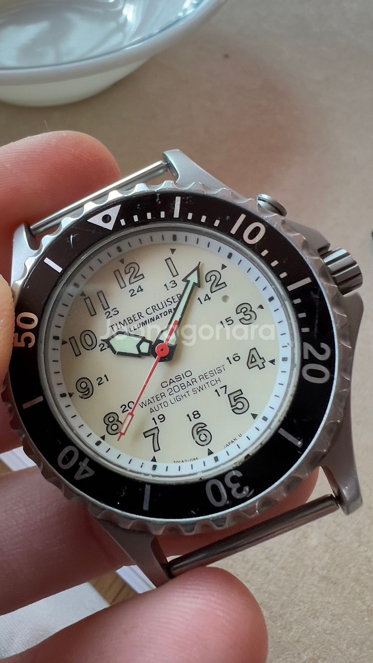 카시오 랜드크루져--9