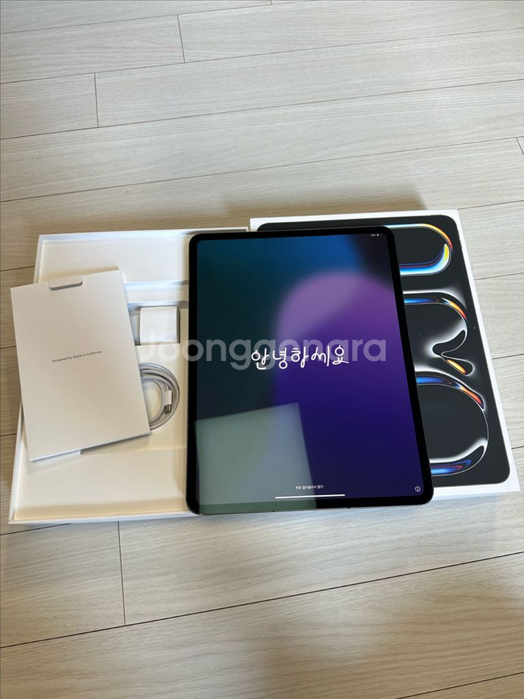 아이패드 프로 M4 13인치 256gb 셀룰러 스페이스--0