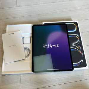 아이패드 프로 M4 13인치 256gb 셀룰러 스페이스