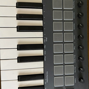 fl key mini
