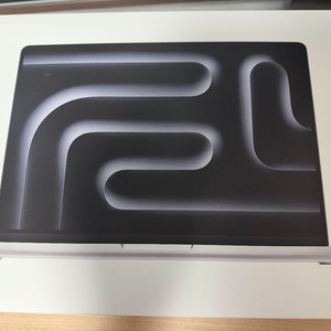 맥북 프로 14 M4 Pro 실버 24GB 512GB