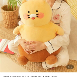 춘식이 대형 인형