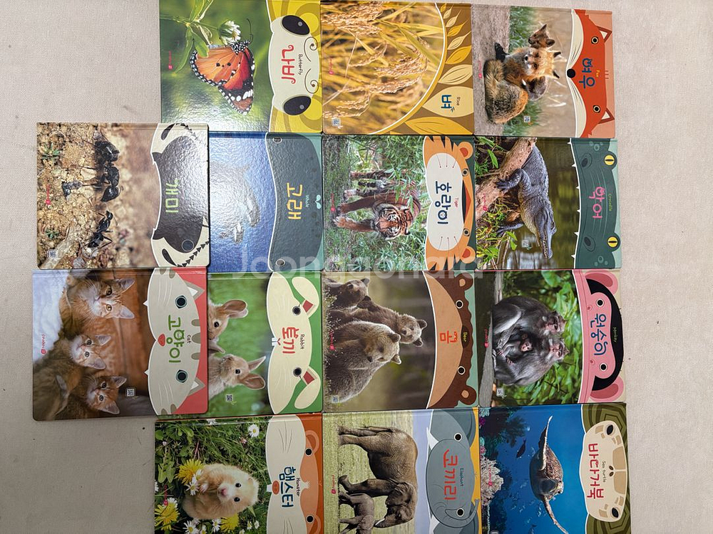 핀덴 베베, 베베미니, 톡톡, 자연관찰--5