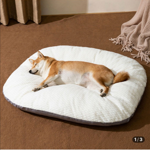 [펫코노미] 반려동물 포그니 사계절용 쿠션