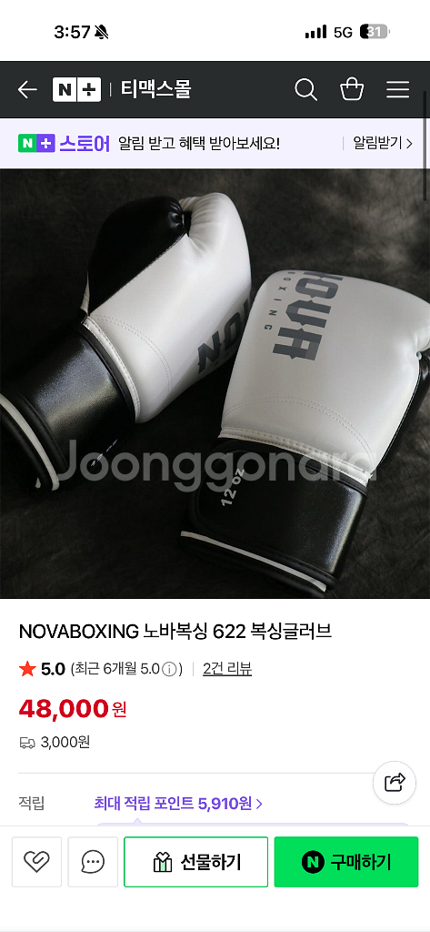 NOUA 복싱 글러브 (흰색)--0