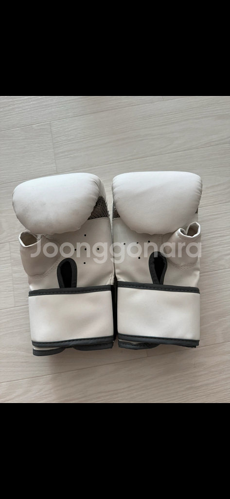 NOUA 복싱 글러브 (흰색)--2