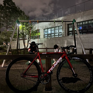쓰나미 snm100 레드와인 픽시 자전거 팝니다