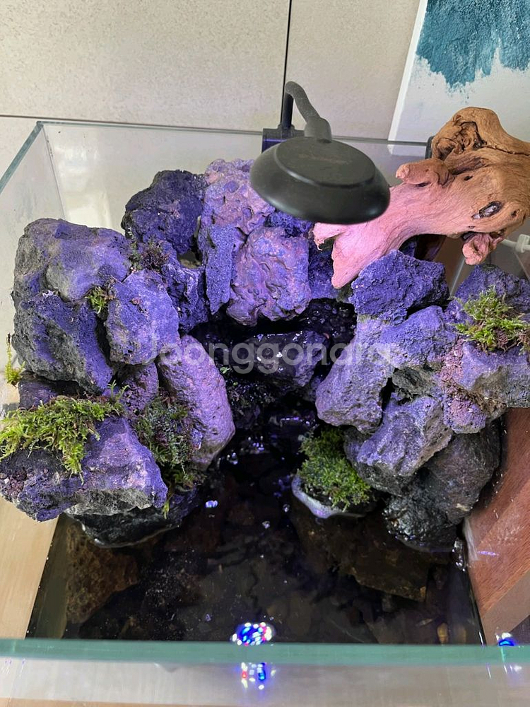 팔루다리움 폭포 어항 수조 테라리움 판매--0