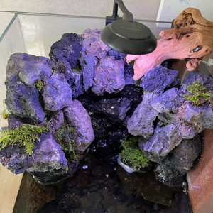 팔루다리움 폭포 어항 수조 테라리움 판매