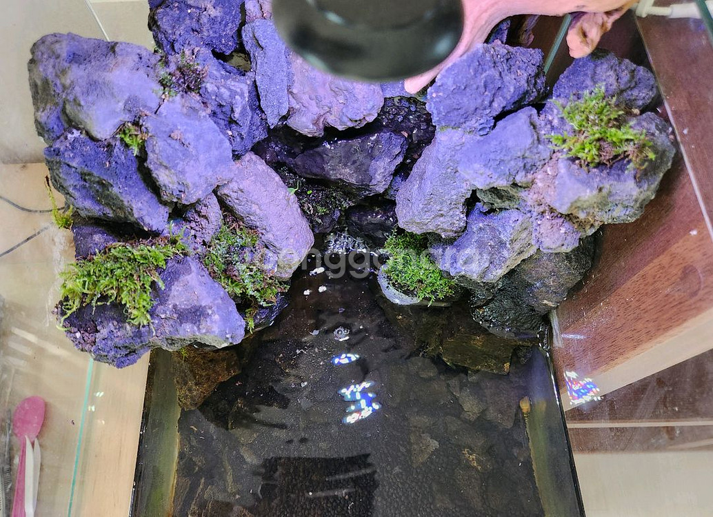 팔루다리움 폭포 어항 수조 테라리움 판매--1