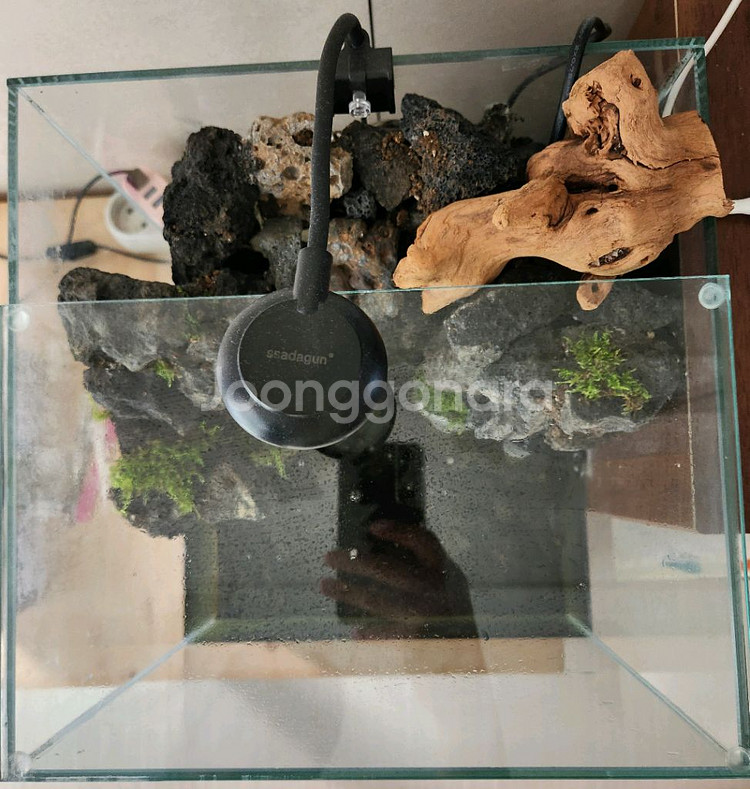 팔루다리움 폭포 어항 수조 테라리움 판매--4