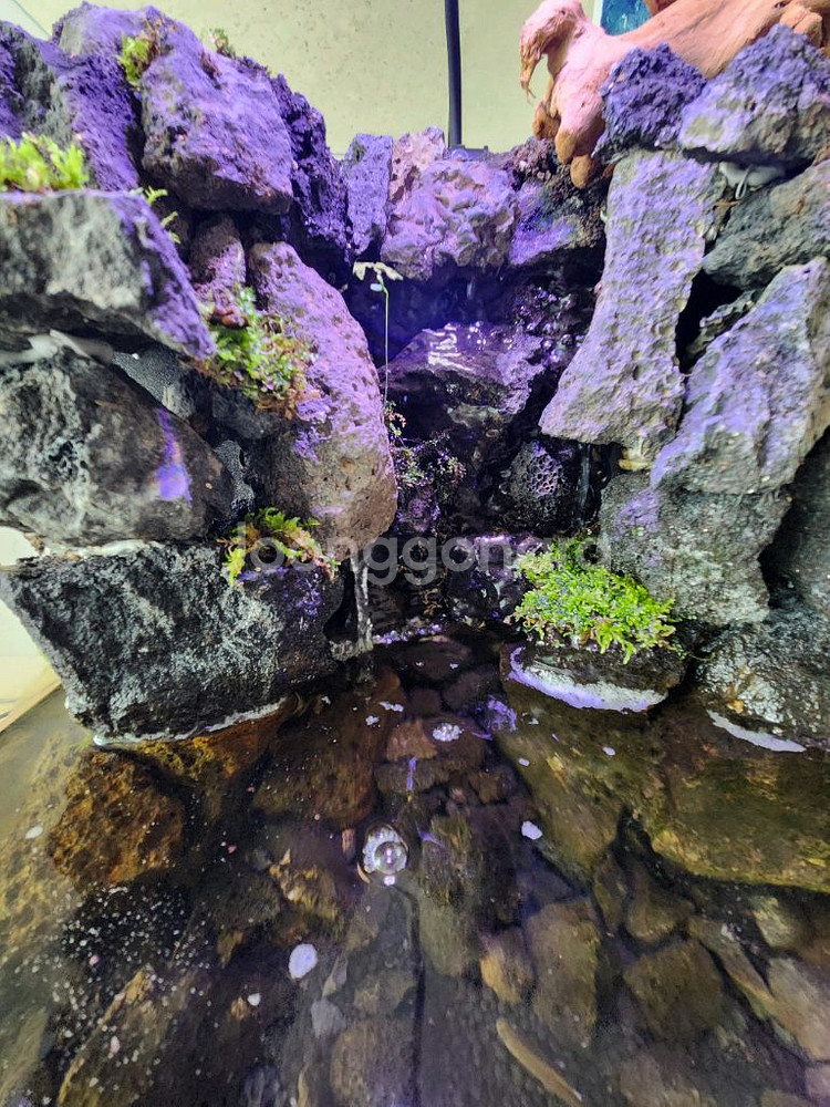 팔루다리움 폭포 어항 수조 테라리움 판매--2