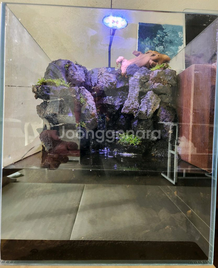 팔루다리움 폭포 어항 수조 테라리움 판매--3