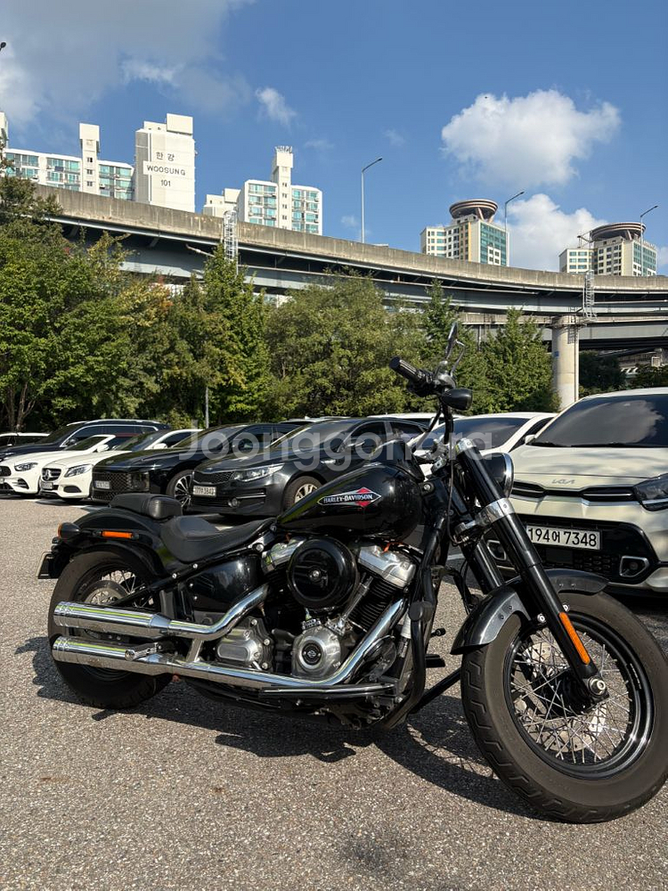 할리데이비슨 소프테일 슬림(2021년식)--1