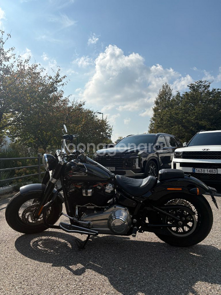 할리데이비슨 소프테일 슬림(2021년식)--0