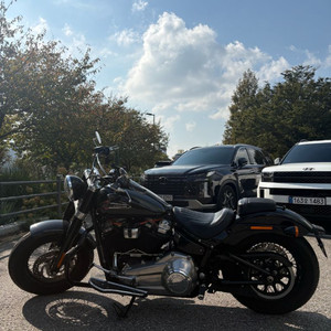 할리데이비슨 소프테일 슬림(2021년식)