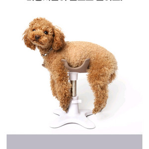 샘슨살롱 강아지미용거치대