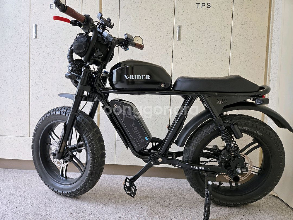 엑스라이더 X200 PRO 2024년식--1
