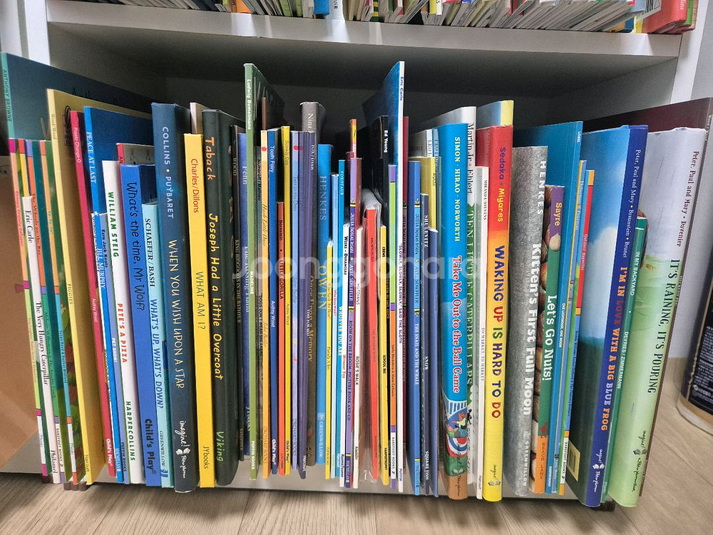 노부영 드림 원서 (약 300권)--0