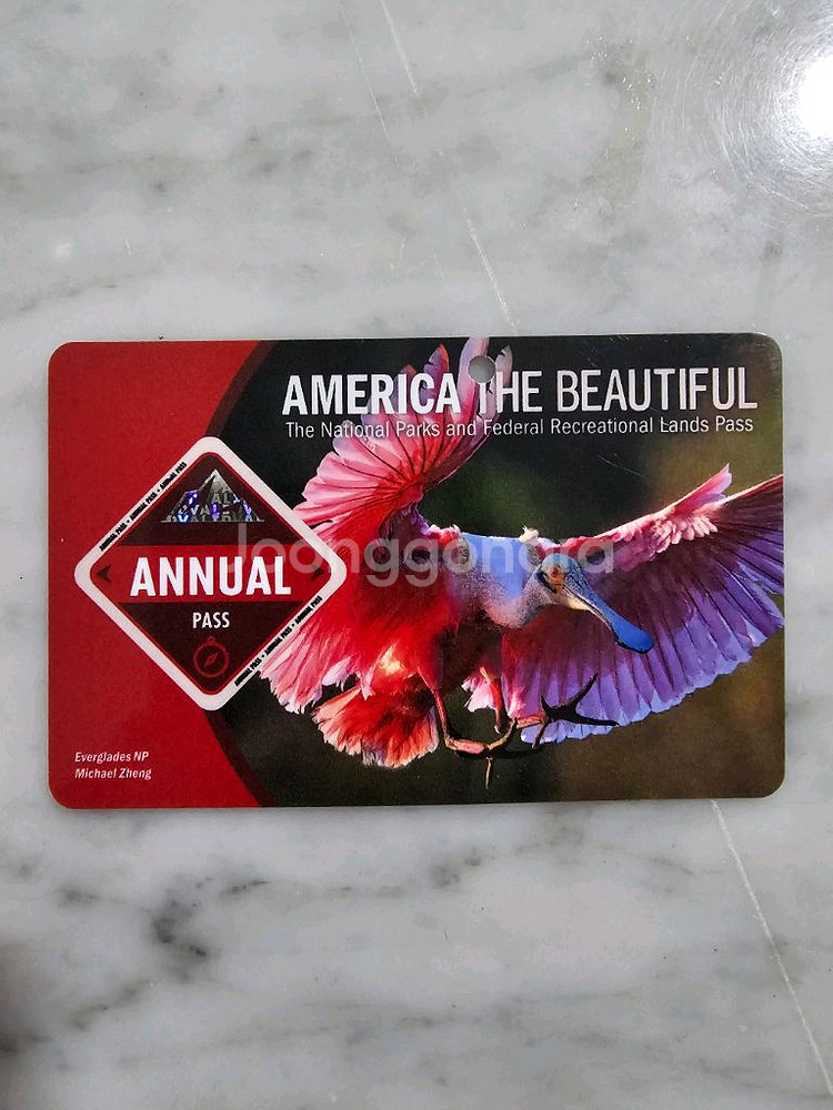 미국 국립공원 애뉴얼패스 26년 7월까지--0