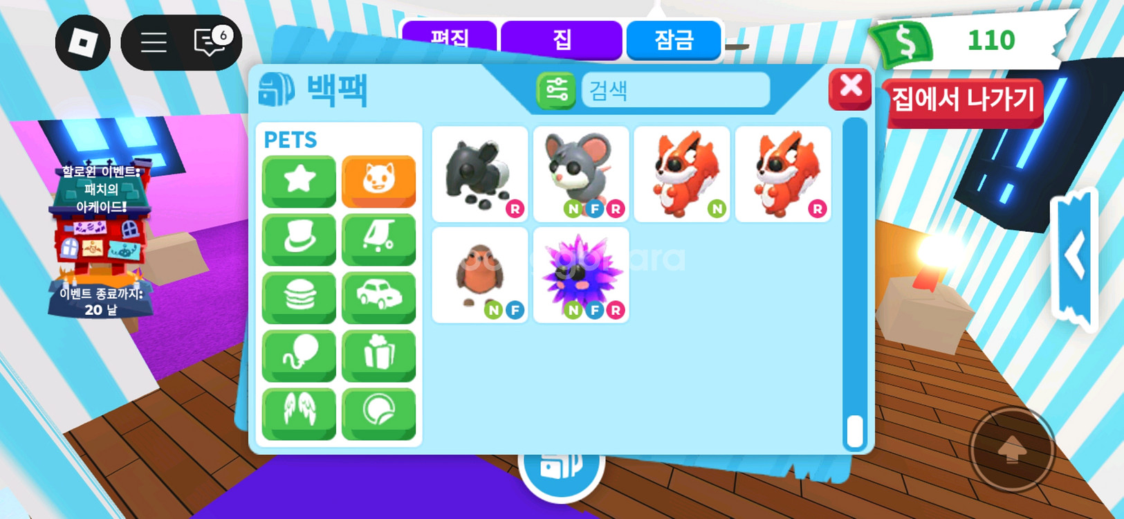 입양하세요 펫 팝니다--6