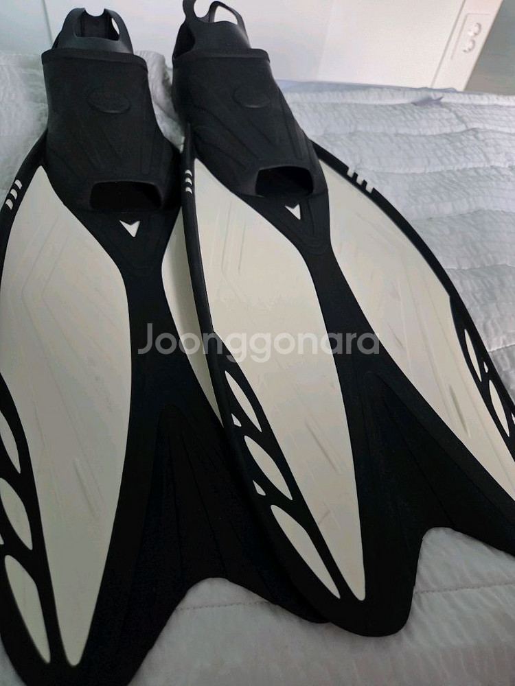 아레나 롱핀 화이트--2