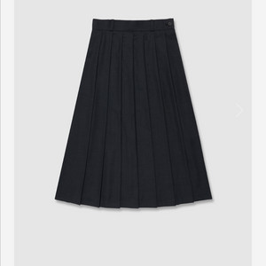 얼바닉30 hiro pleated skirt