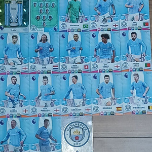 (23/24) EPL 파니니 축구카드 153장