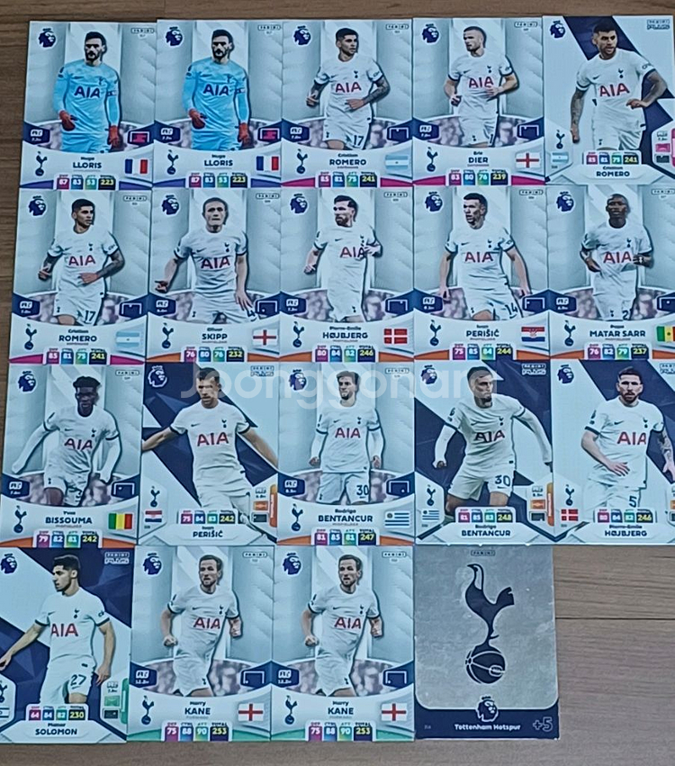 (23/24) EPL 파니니 축구카드 153장--1