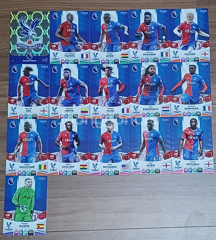 (23/24) EPL 파니니 축구카드 153장--8