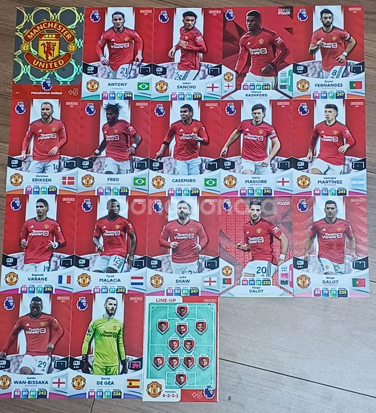 (23/24) EPL 파니니 축구카드 153장--3