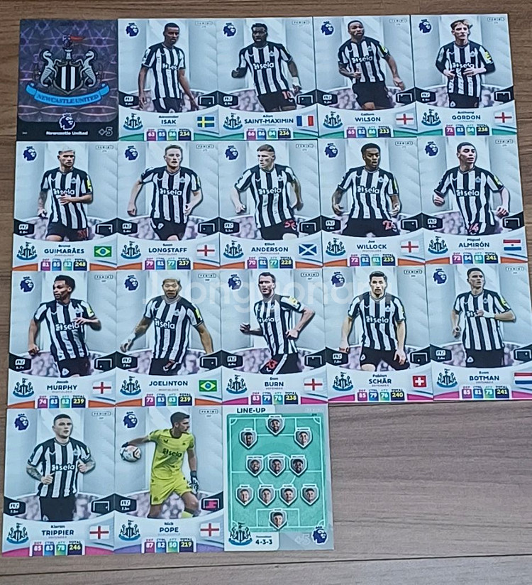 (23/24) EPL 파니니 축구카드 153장--9