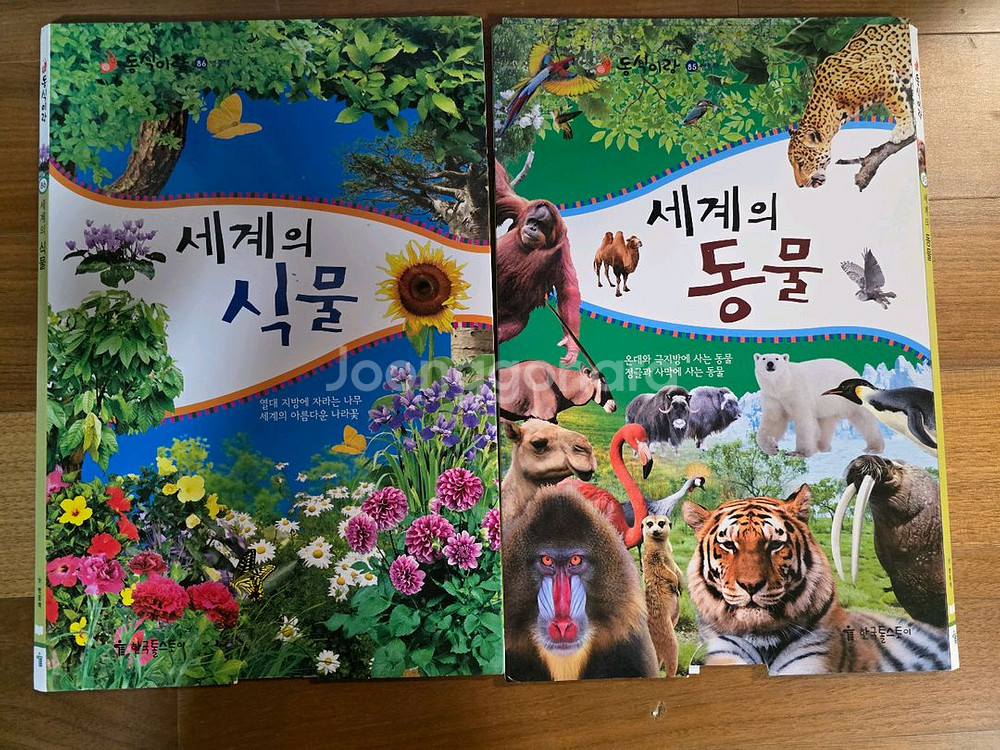 자연관찰전집 동식이랑--5
