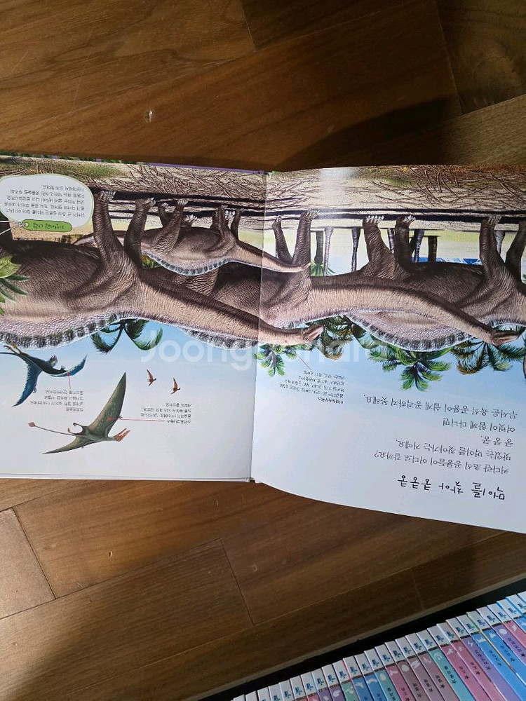 자연관찰전집 동식이랑--4