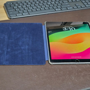 아이패드 프로 10.5 셀룰러 스그 256GB