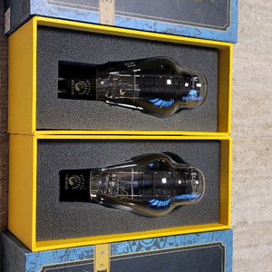 푸스반느(PSVANE) WE300B 페어