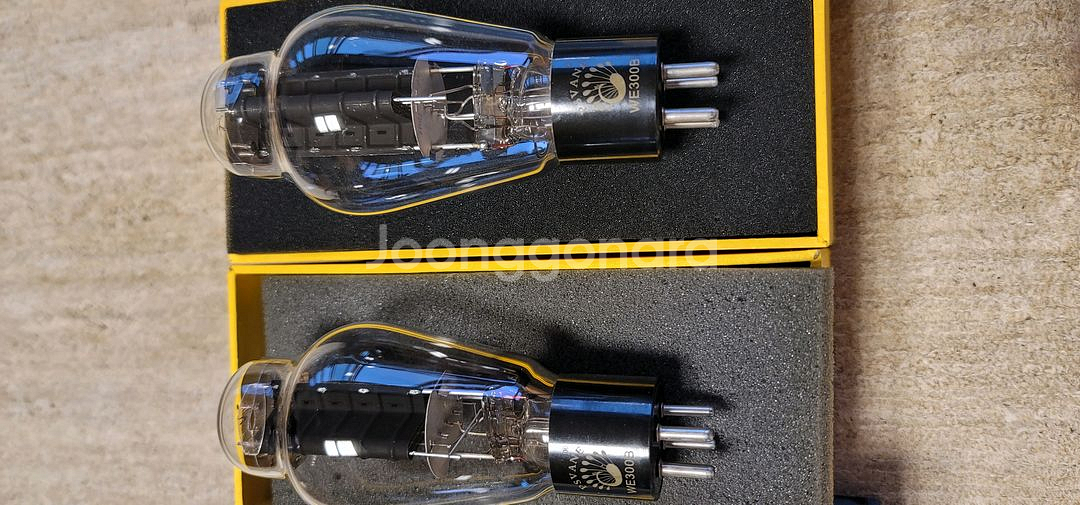 푸스반느(PSVANE) WE300B 페어--1