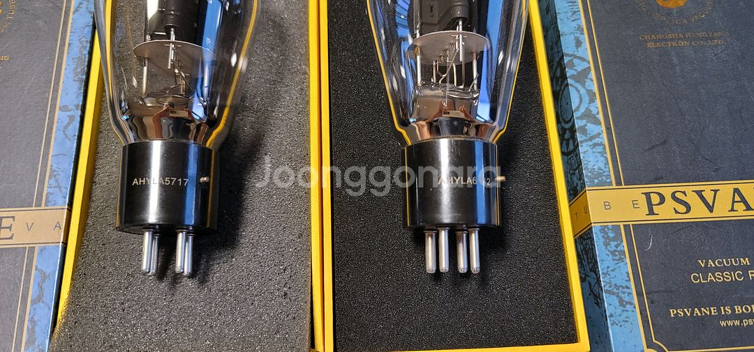 푸스반느(PSVANE) WE300B 페어--2